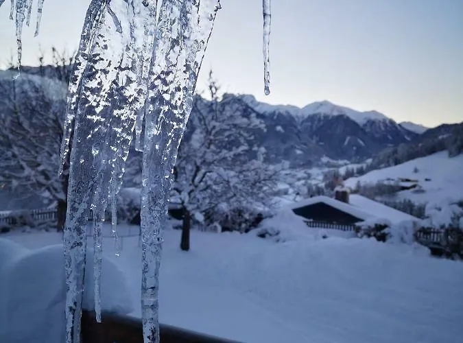 Alpenheimat Laurschhof 4* 费斯